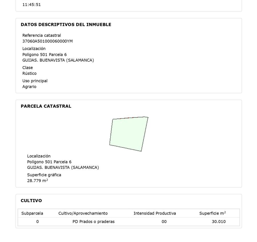 480642180_122203594250155767_380381826275424988_n